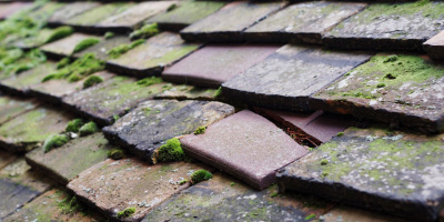 Parkhouse roof repair costs